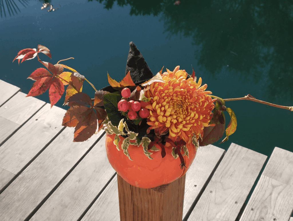 Composition florale pour la fête d'Halloween dans un potimarron, gros chrysanthème orange, Hypericum, branchages panachés de vigne et de pittosporum, petit chapeau de sorcière en feutrine noir.